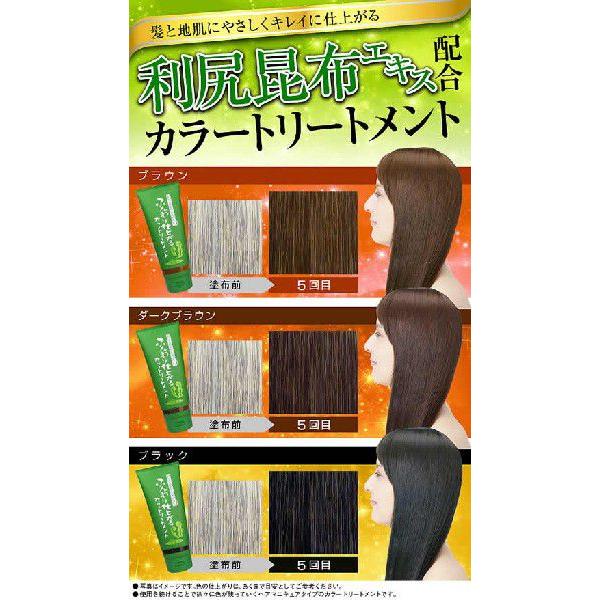 ネット最安 利尻昆布 白髪染め 40ｇ ふんわり仕上がるカラートリートメント ミニサイズ