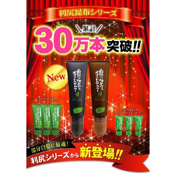 ネット最安 利尻昆布 白髪染め 40ｇ ふんわり仕上がるカラートリートメント ミニサイズ